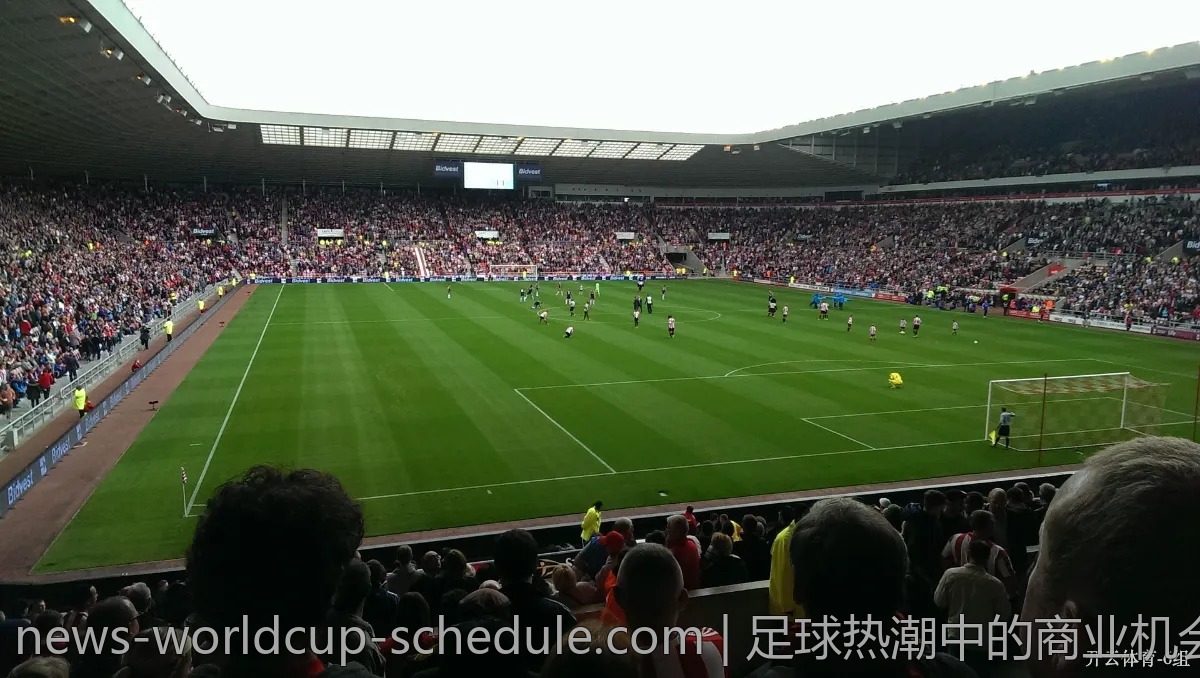 足球热潮中的商业机会：世界杯如何影响市场？